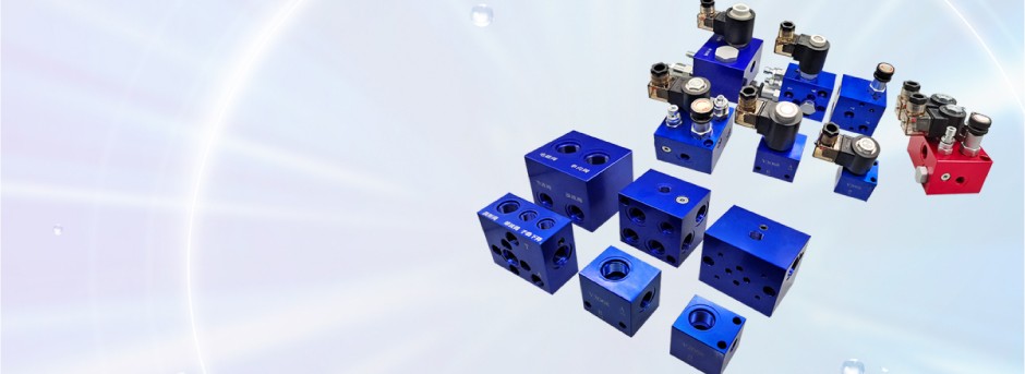 Standard Valve Block and Hydraulic Valve Set
