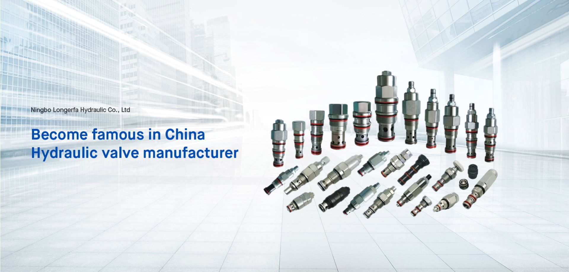 Ningbo Longerfa Hydraulic Co., Ltd